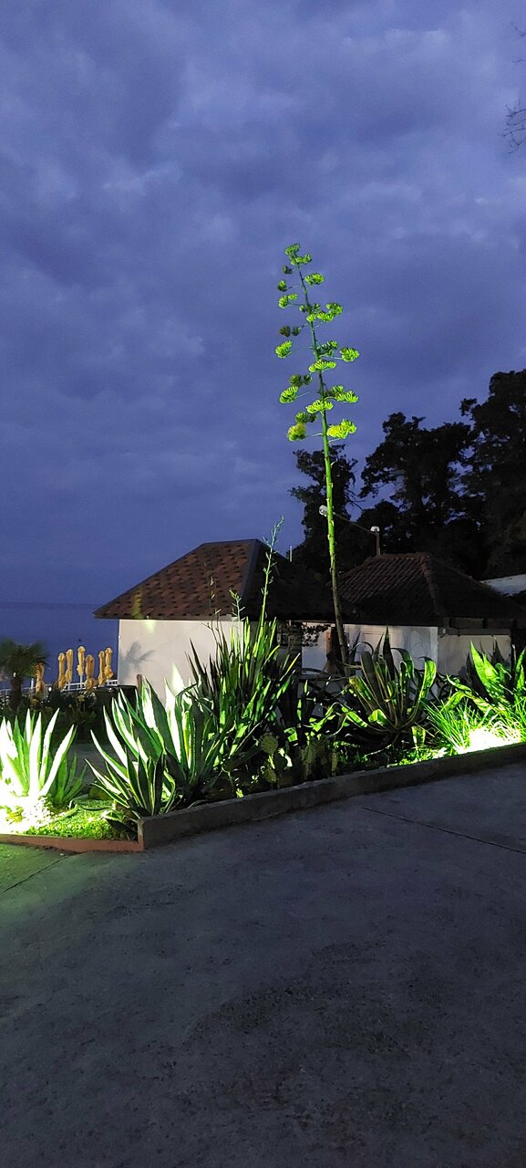 Гостиница Green Apple Небуг-63