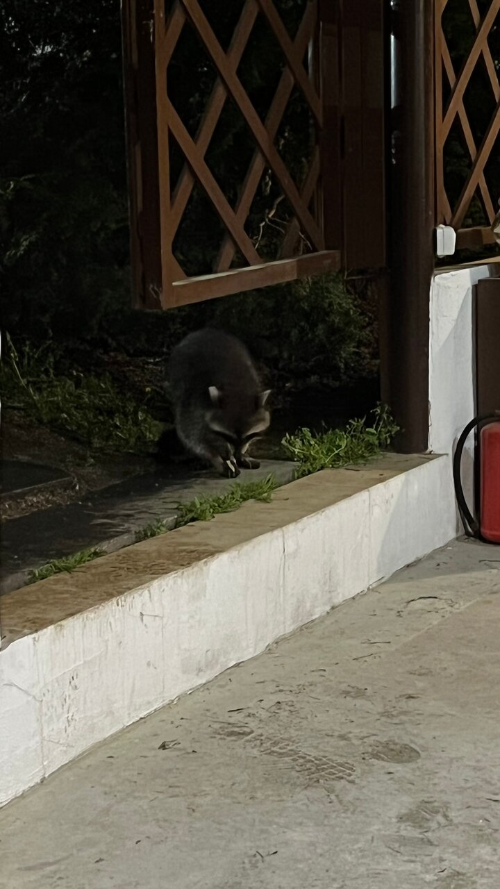 Гостиница Green Apple Небуг-57