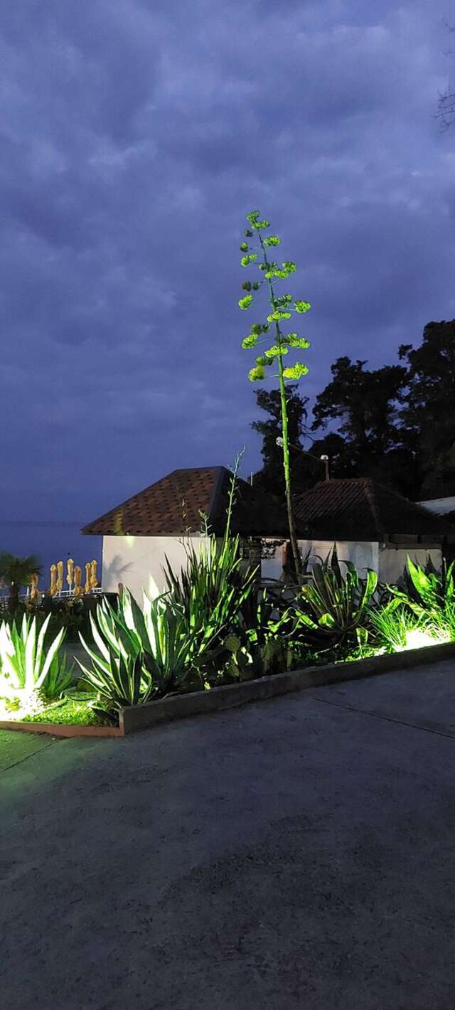 Гостиница Green Apple Небуг-62