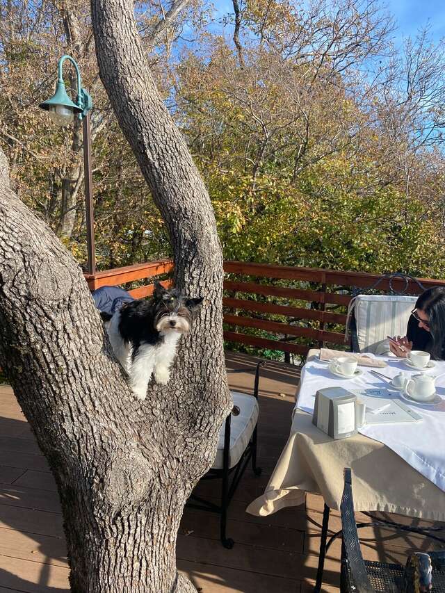 Гостиница Green Apple Небуг-78